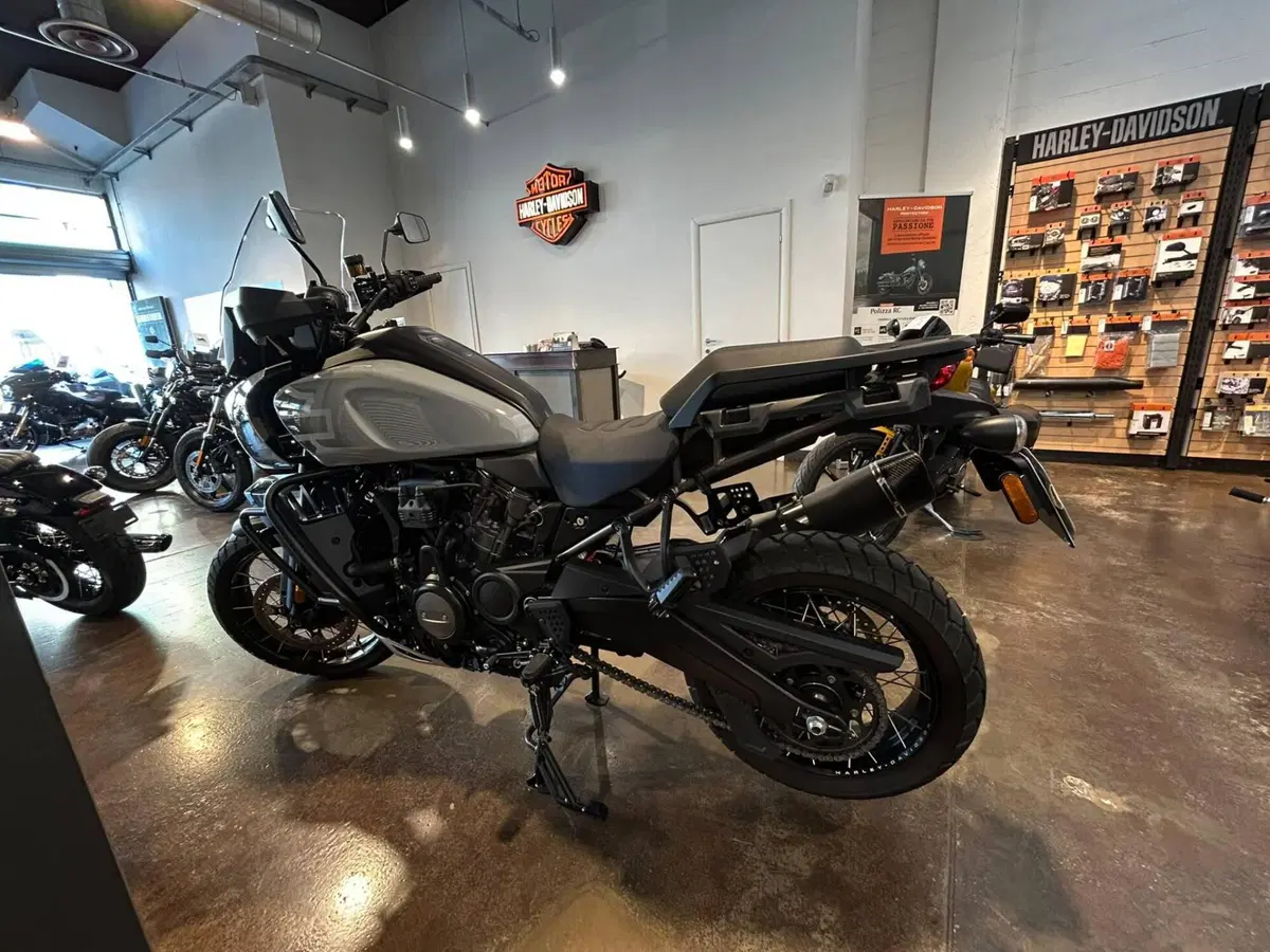 Harley-Davidson Pan America 1250 Special (2020 - 25) (2)