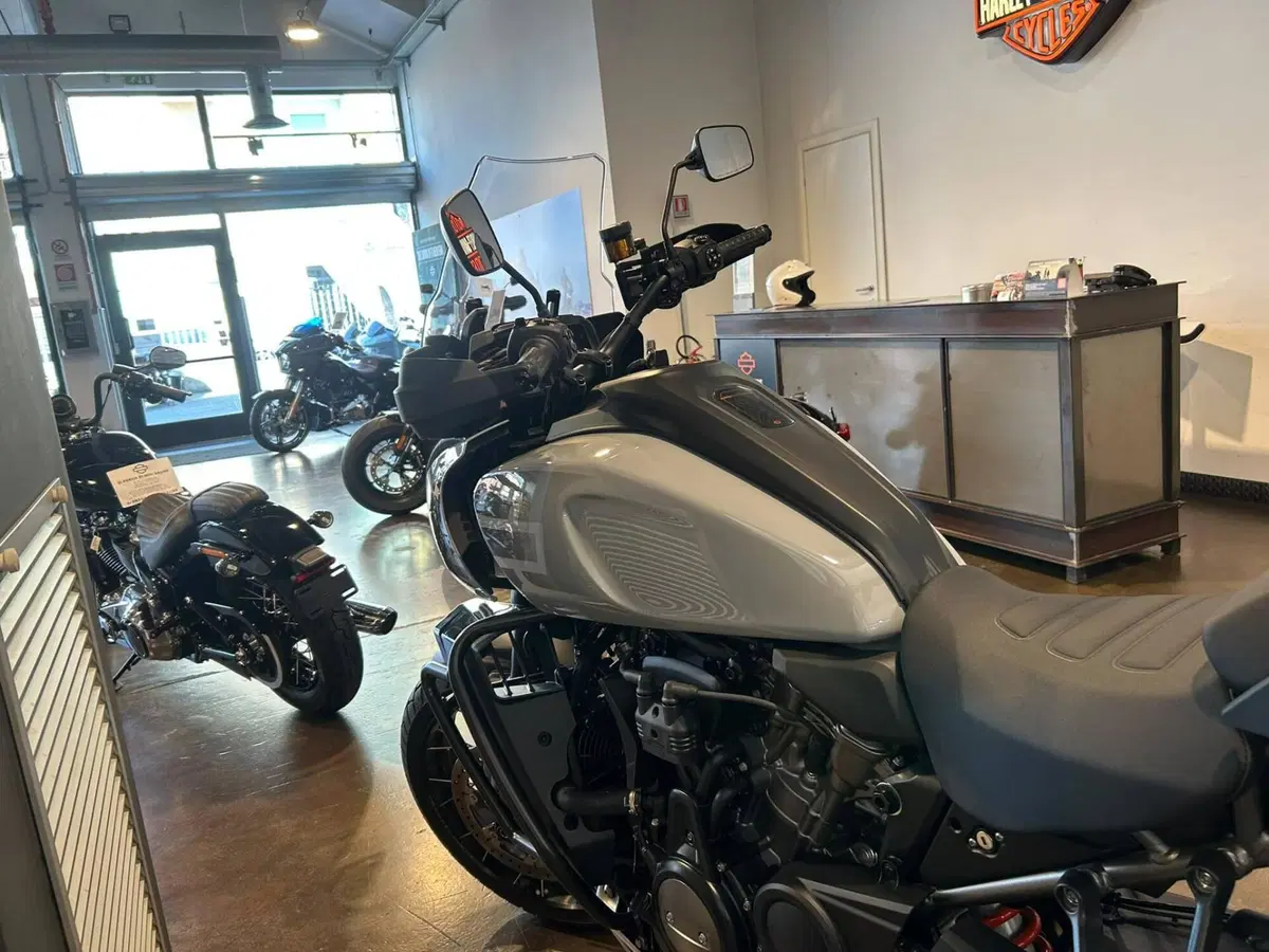 Harley-Davidson Pan America 1250 Special (2020 - 25) (3)