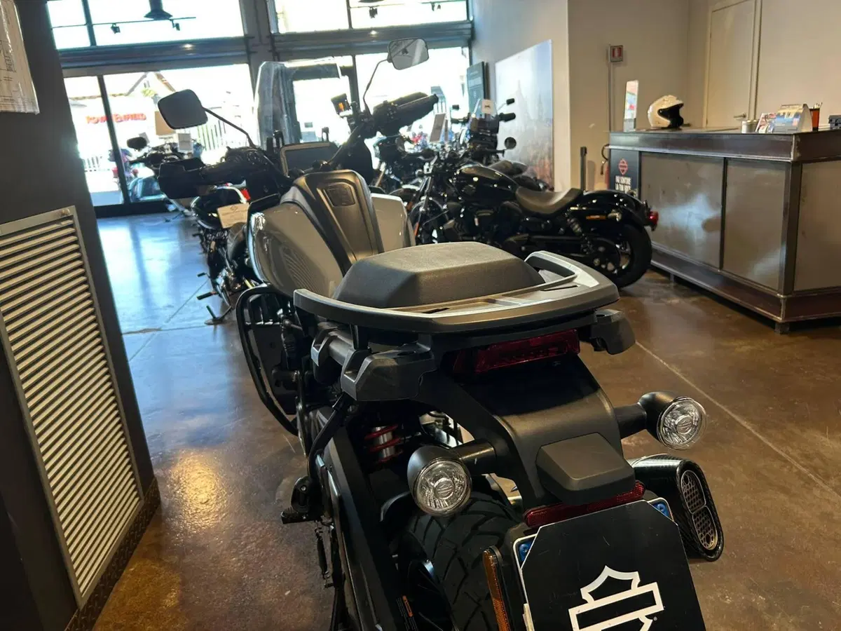 Harley-Davidson Pan America 1250 Special (2020 - 25) (5)