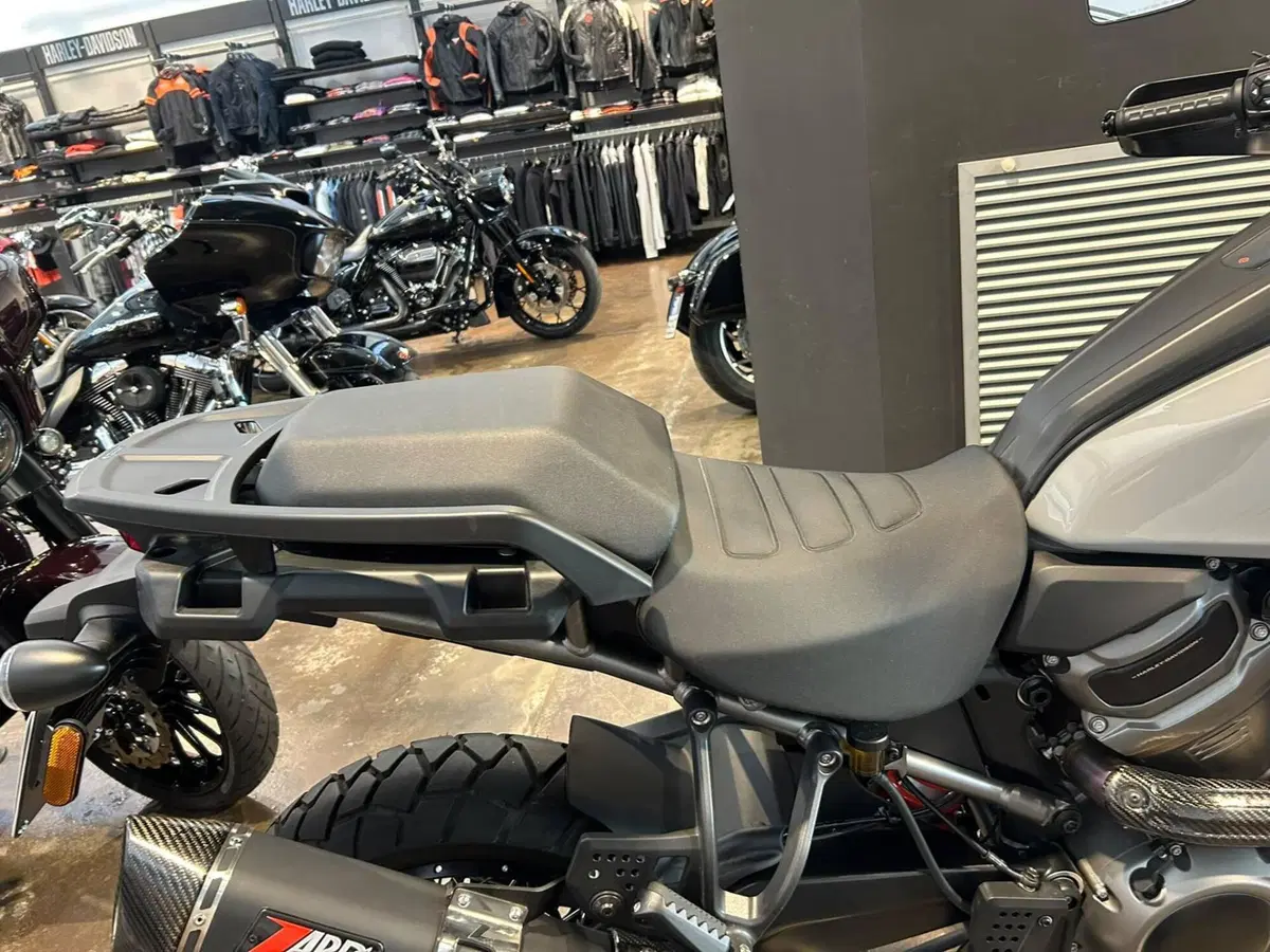Harley-Davidson Pan America 1250 Special (2020 - 25) (6)