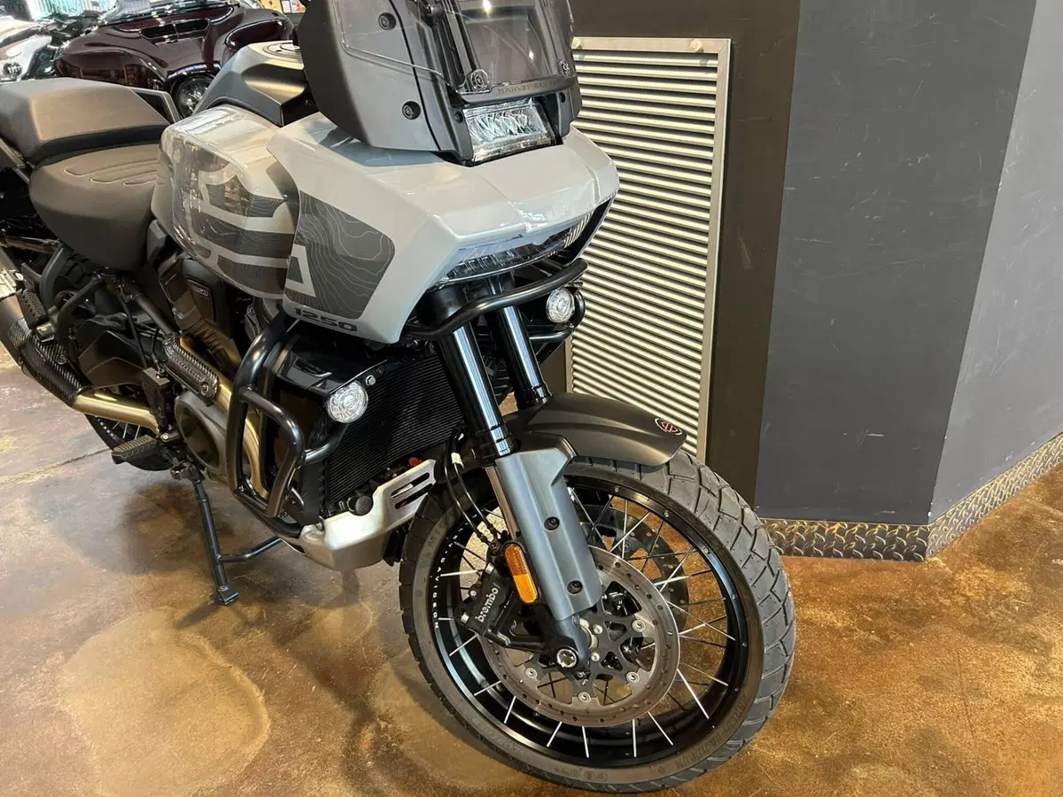 Harley-Davidson Pan America 1250 Special (2020 - 25) (9)