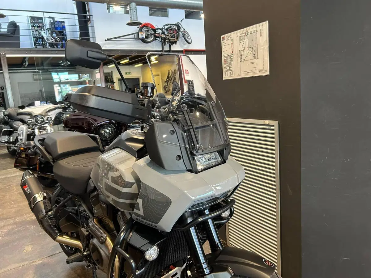 Harley-Davidson Pan America 1250 Special (2020 - 25) (10)