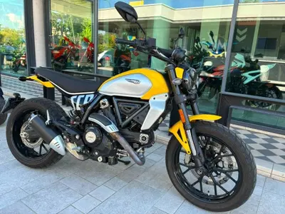 Ducati Scrambler 800 Icon (2023 - 24) usata