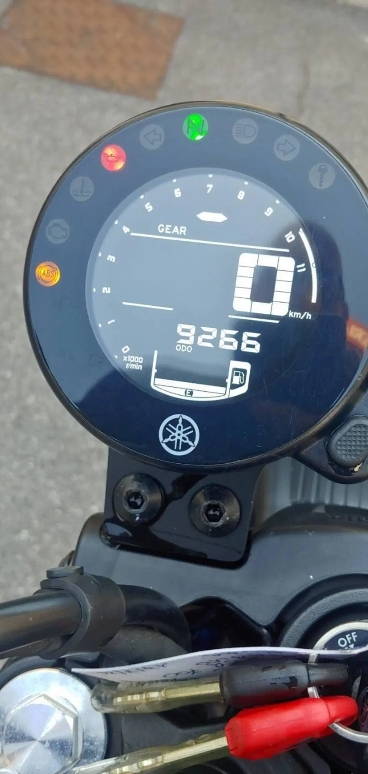 Yamaha XSR 700 XTribute (2022 - 24) (3)