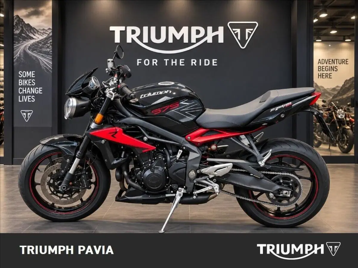Triumph Street Triple R ABS (2013 - 17) (3)