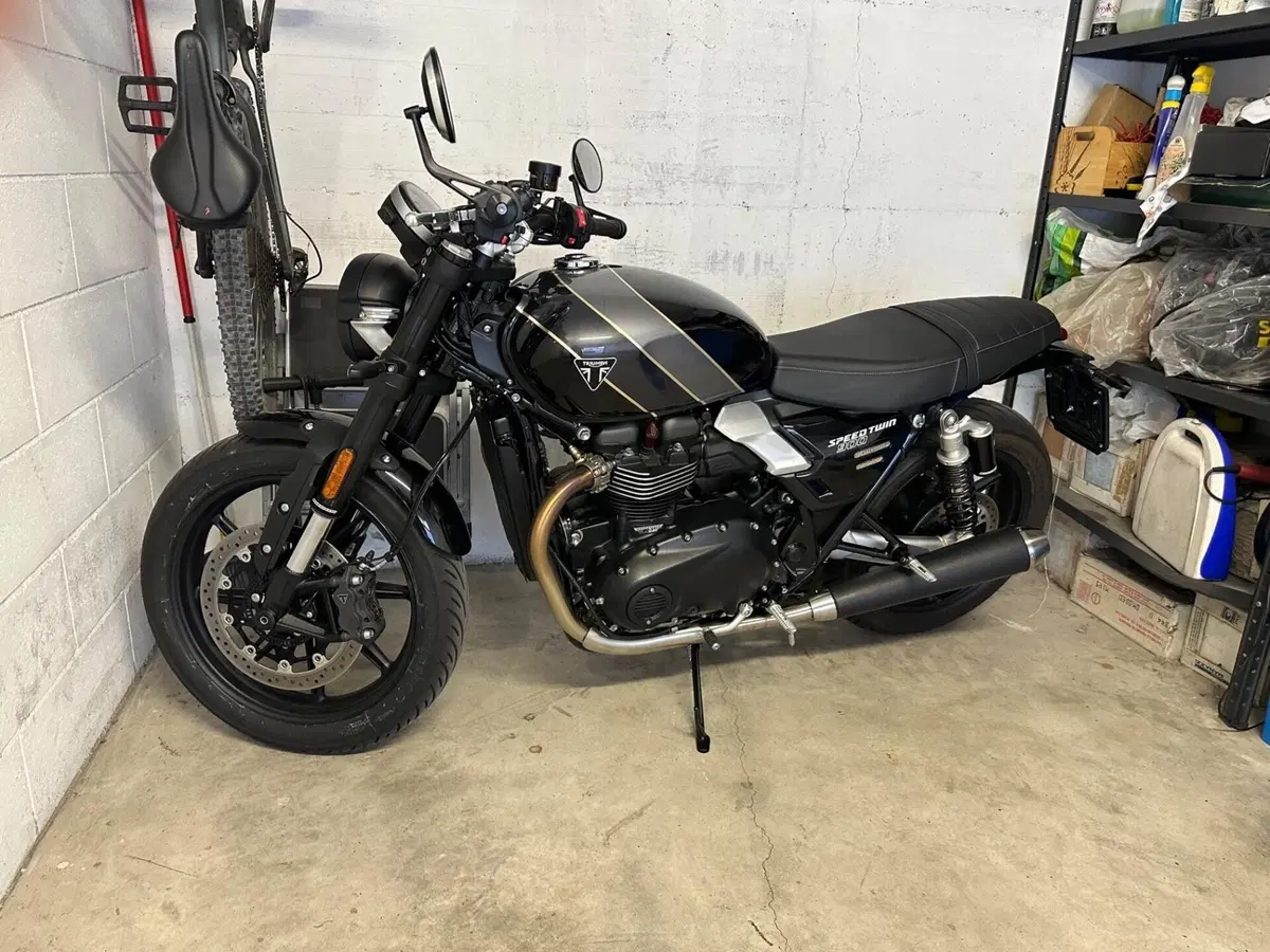 Triumph Speed Twin 900 (2025 - 26) (3)