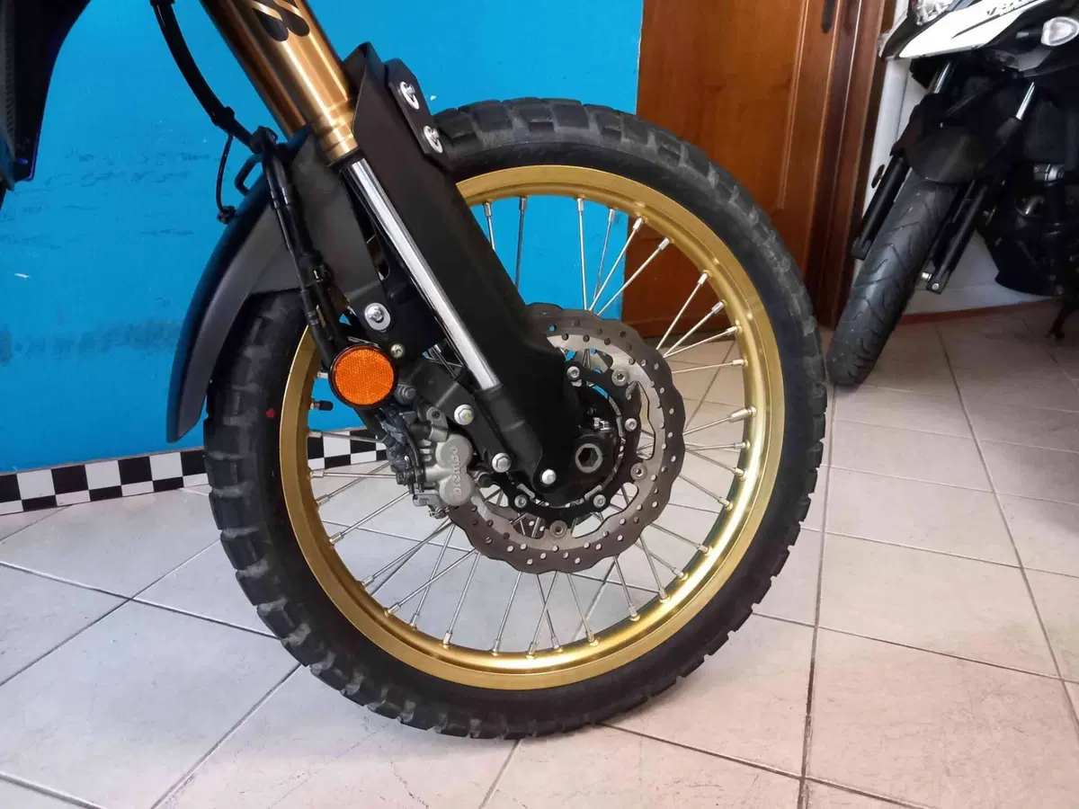Yamaha Ténéré 700 Extreme Edition (2023 - 25) (19)