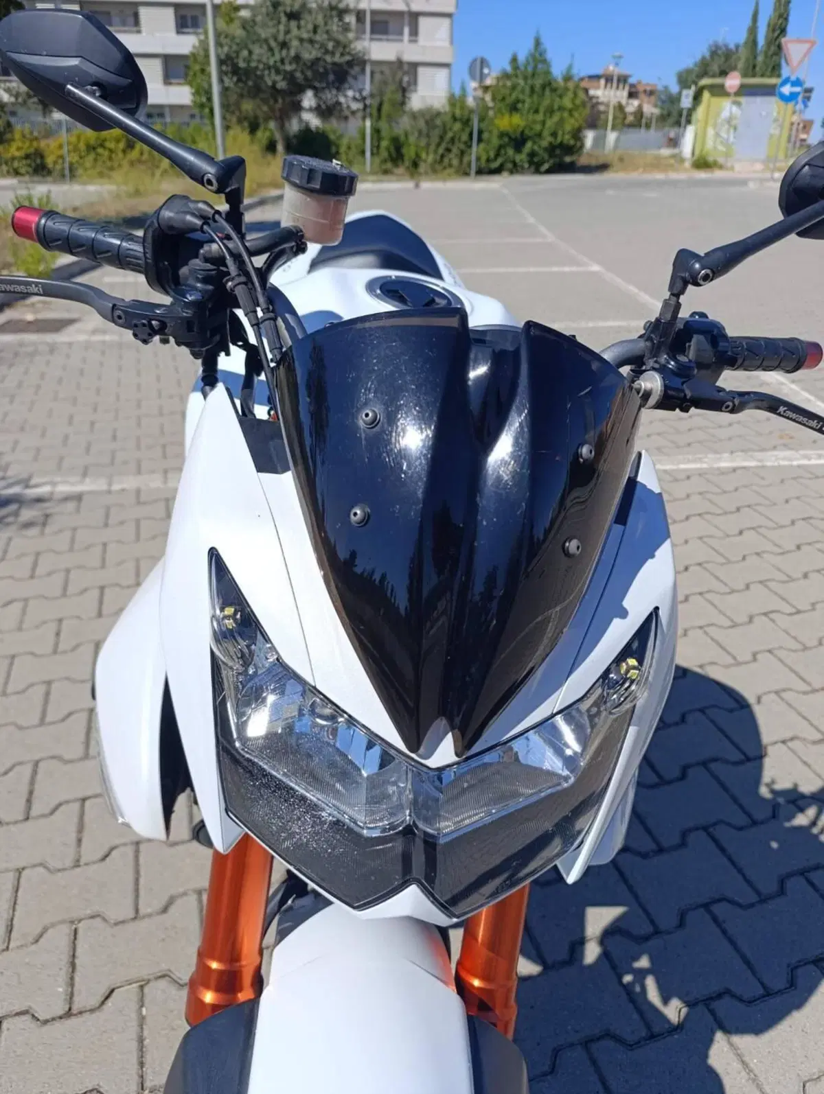 Kawasaki Z 1000 (2007 - 09) (2)