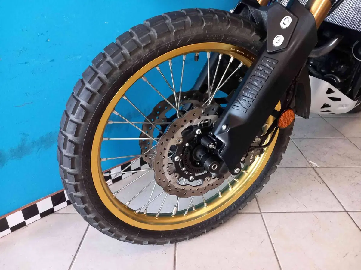 Yamaha Ténéré 700 Extreme Edition (2023 - 25) (7)