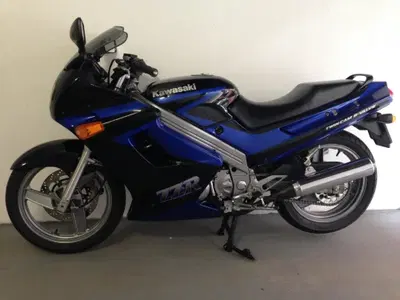 Kawasaki Zzr 250 d'epoca