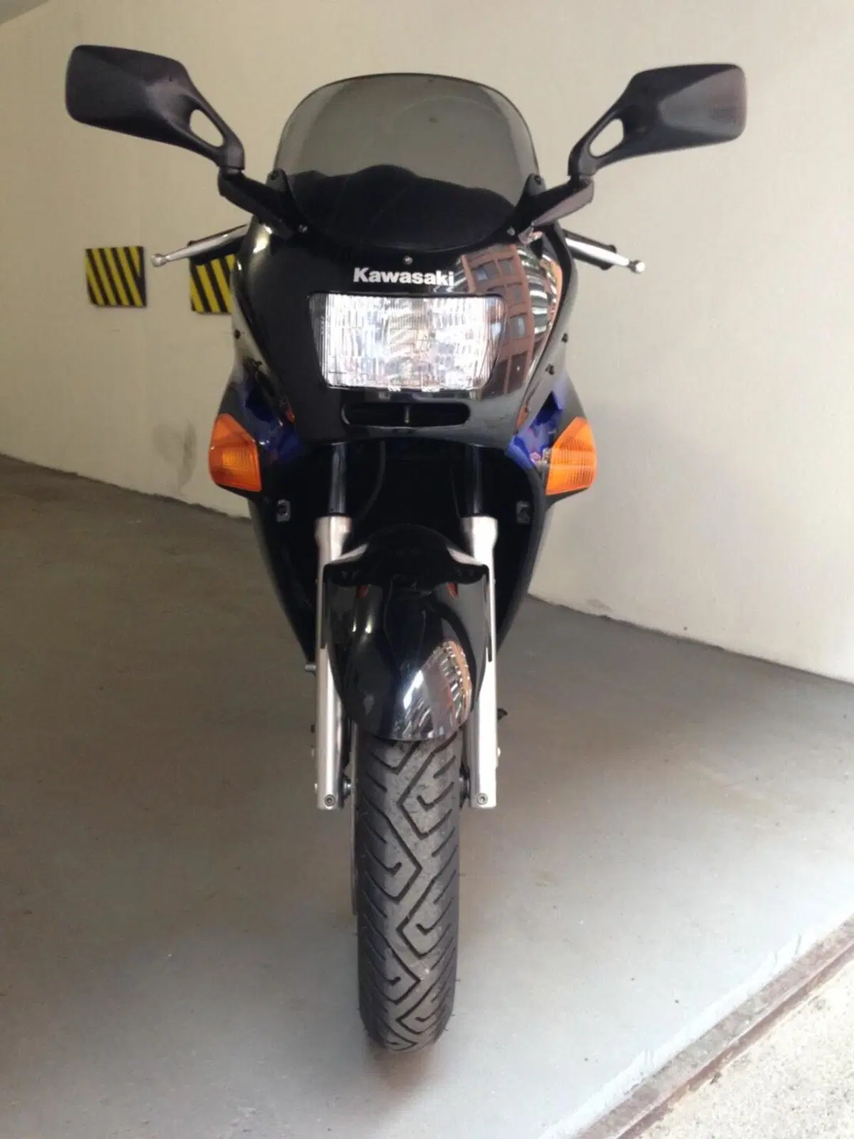 Kawasaki Zzr 250 (2)