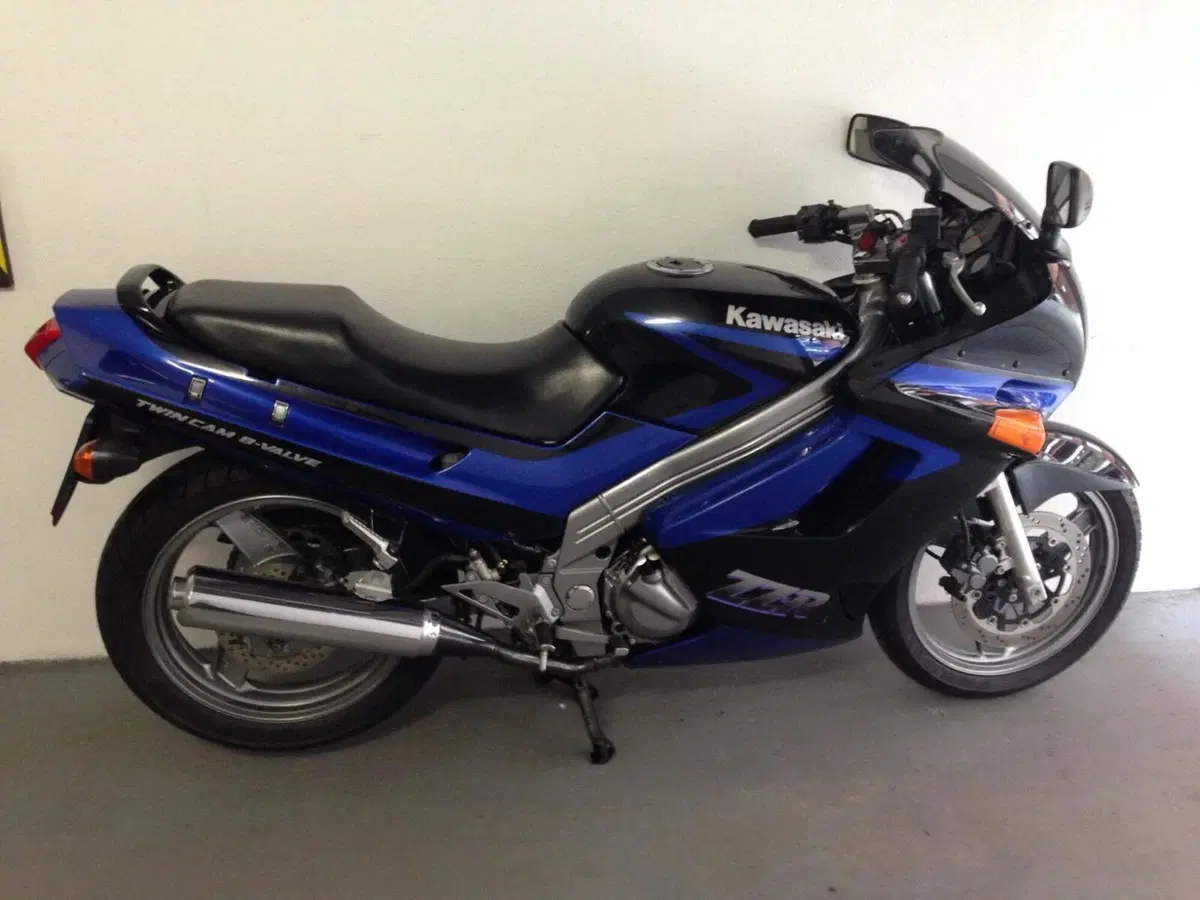 Kawasaki Zzr 250 (3)