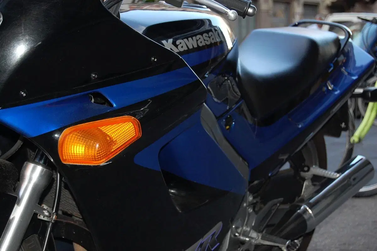 Kawasaki Zzr 250 (4)