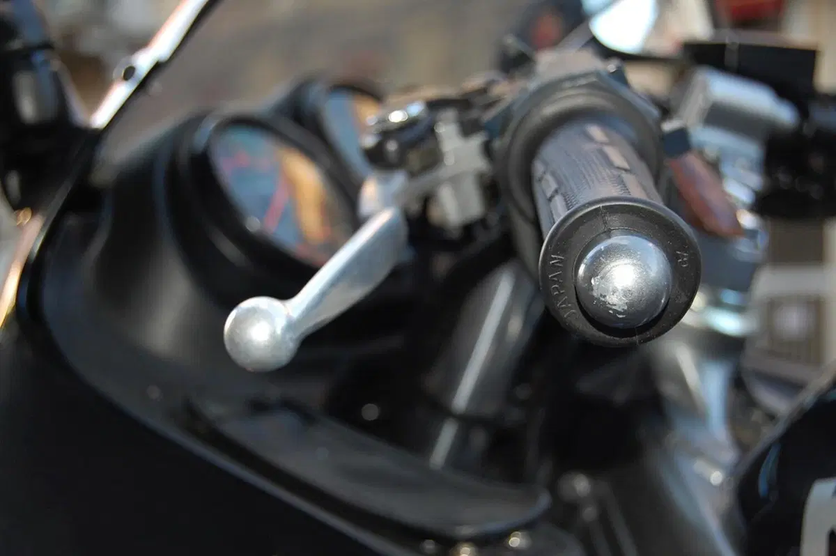 Kawasaki Zzr 250 (5)