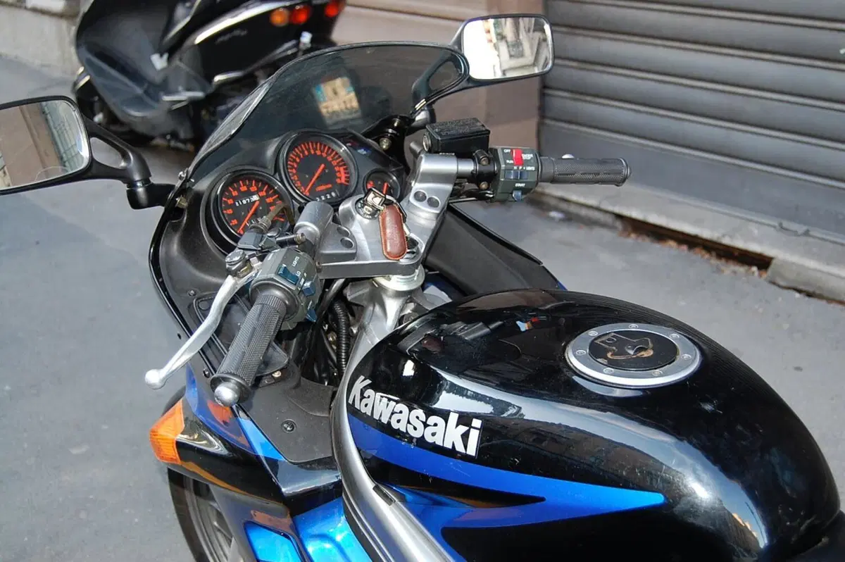 Kawasaki Zzr 250 (6)