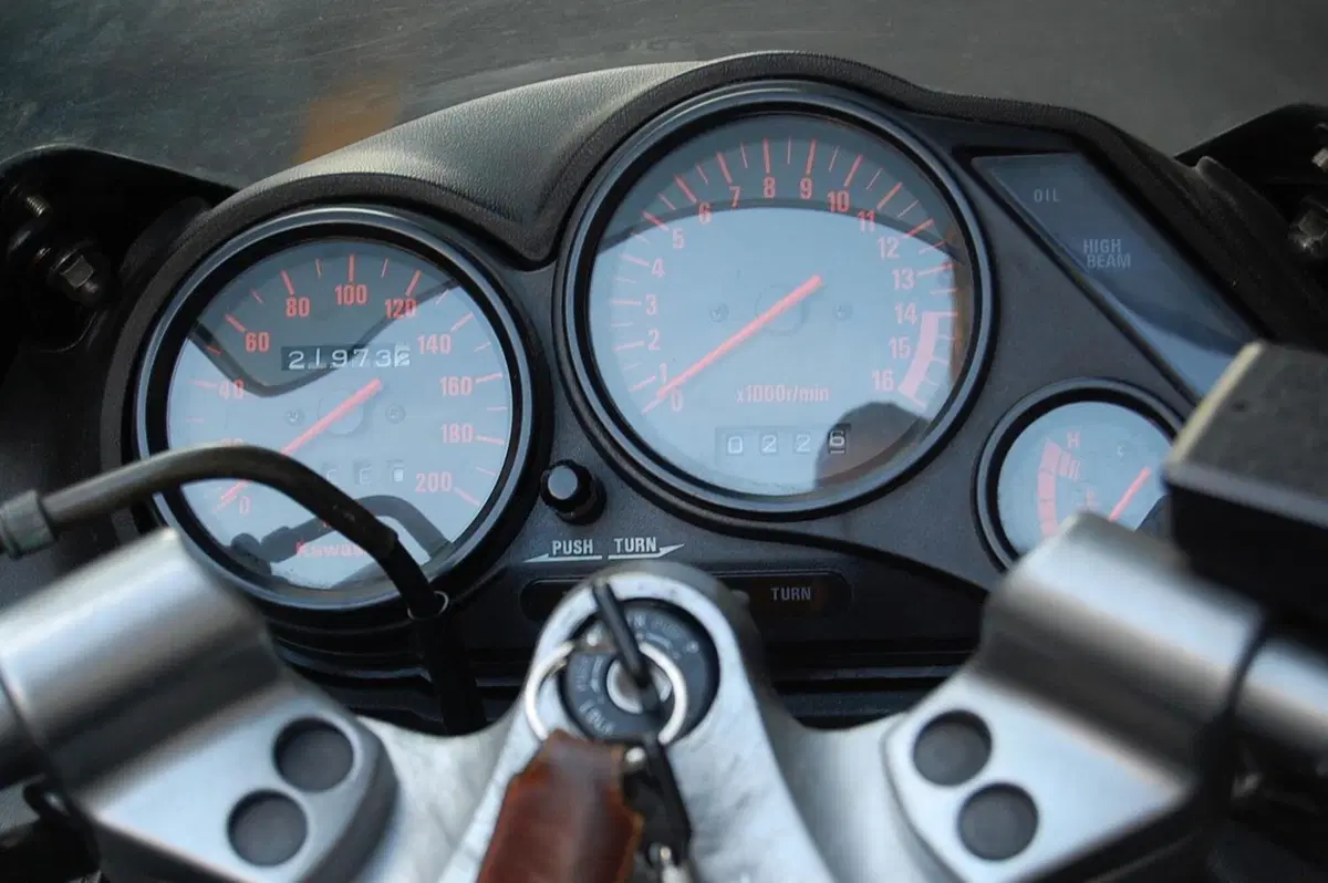 Kawasaki Zzr 250 (9)