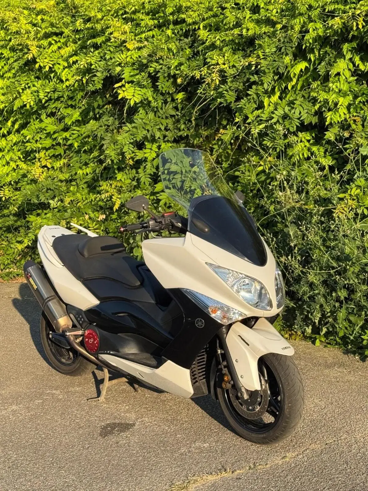 Yamaha T-Max 500 (2008 - 12) (12)