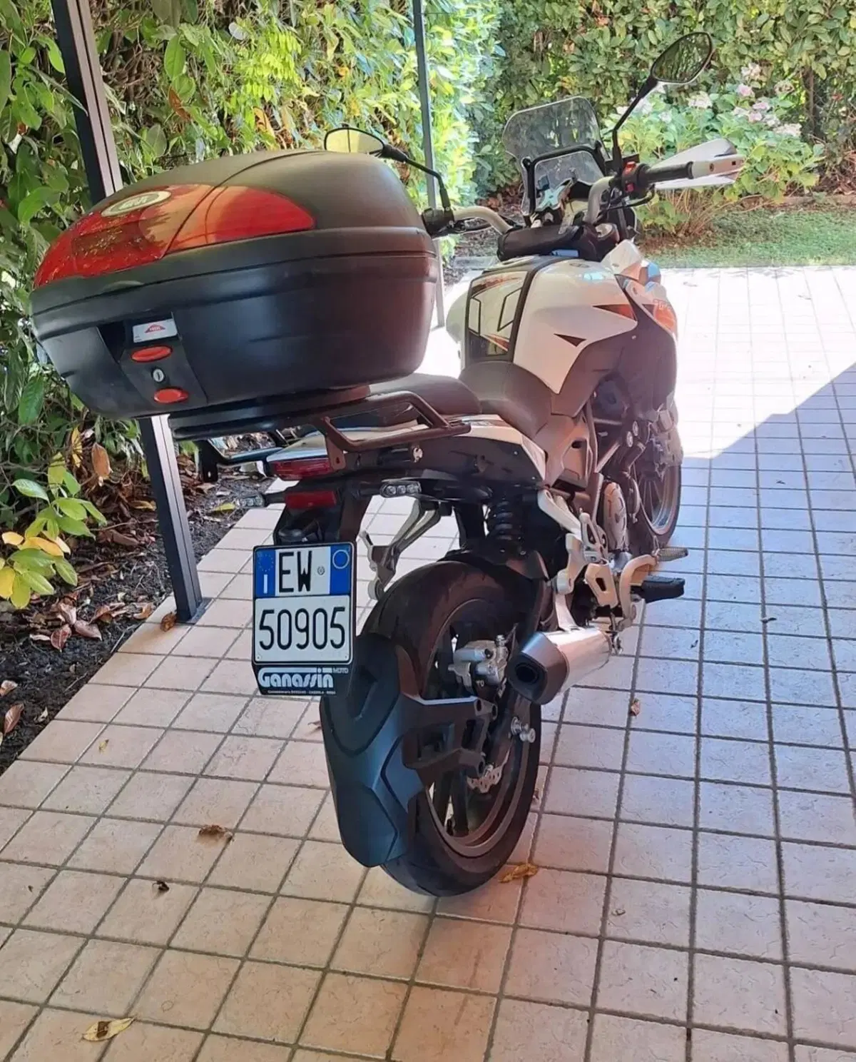 Benelli TRK 251 (2022 - 25) (4)
