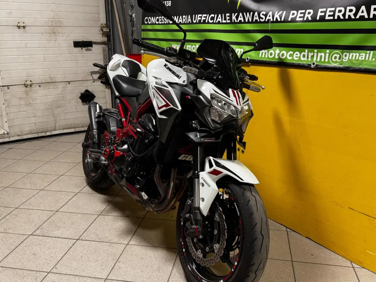 Kawasaki Z 900 (2021 - 24) (6)