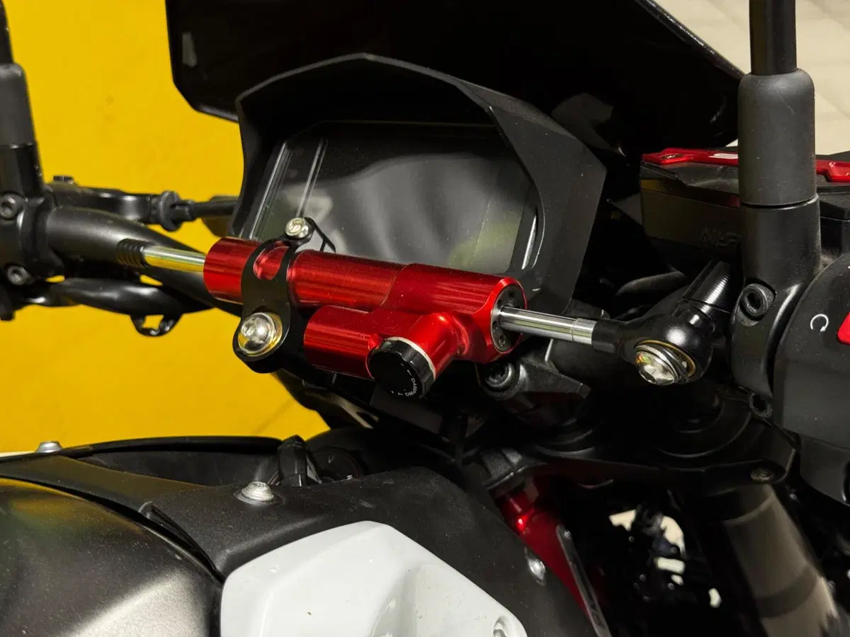 Kawasaki Z 900 (2021 - 24) (9)