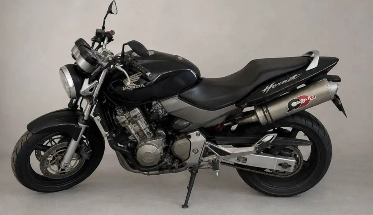Honda Hornet 600 (2003 - 04)