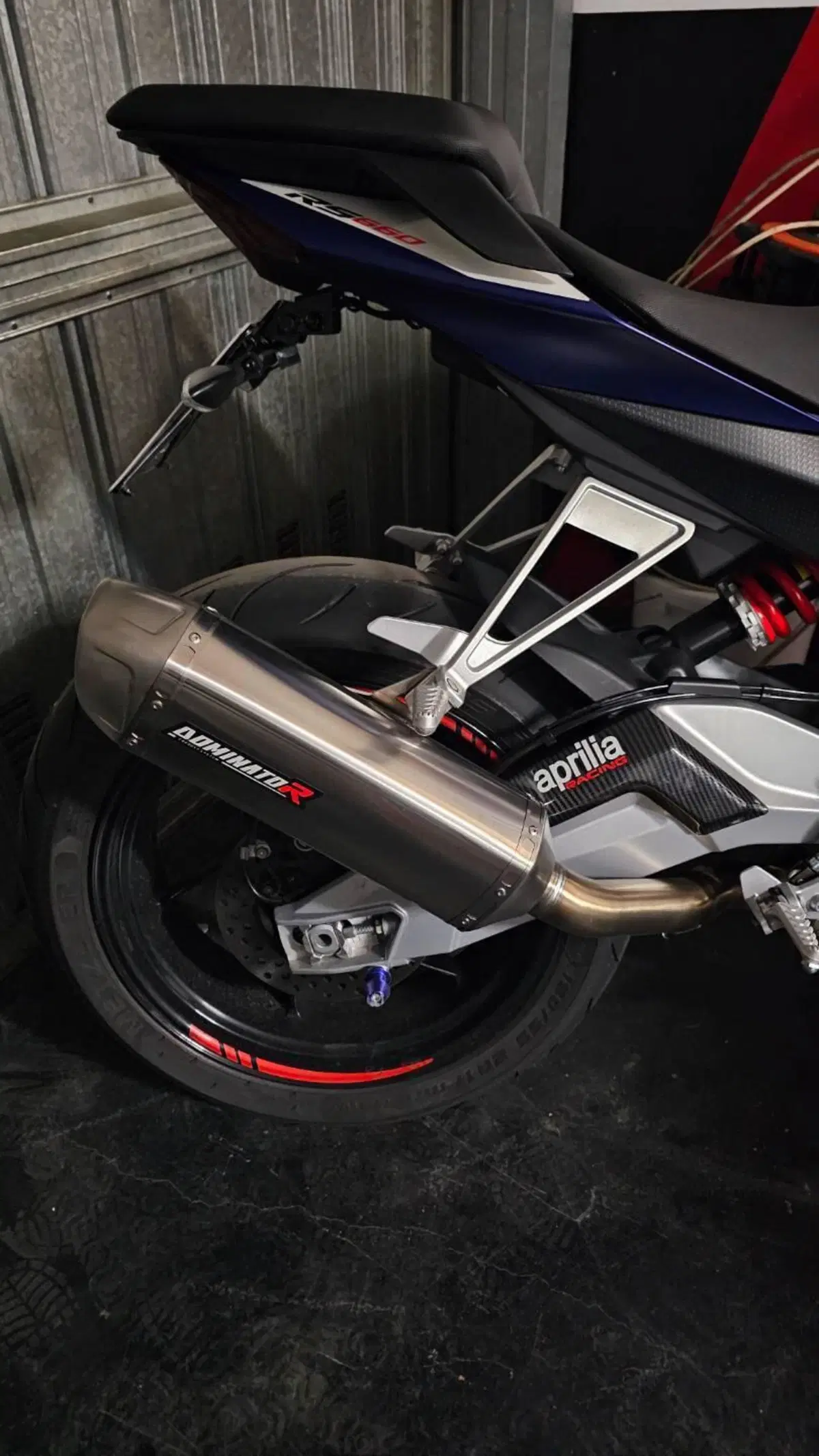 Aprilia RS 660 (2020 - 24) (4)