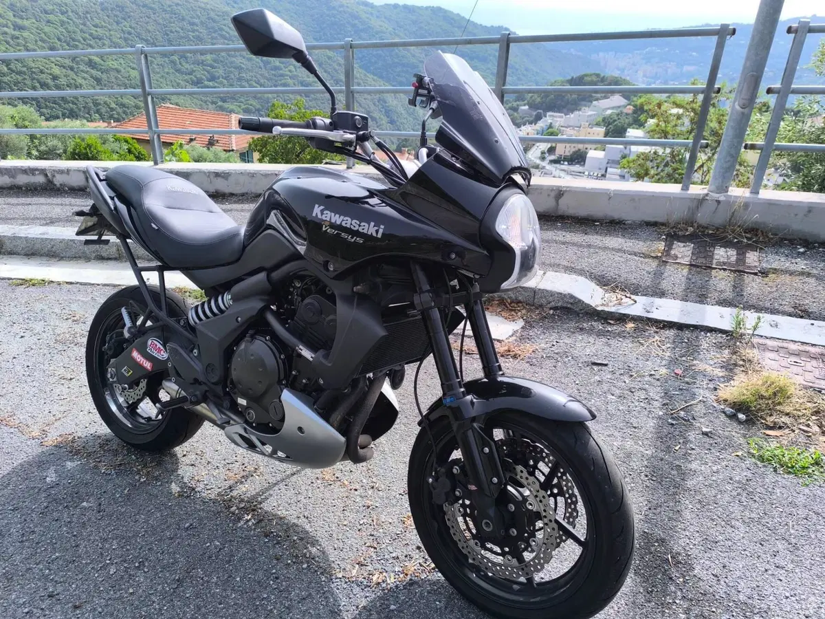 Kawasaki Versys 650 (2006 - 09) (2)
