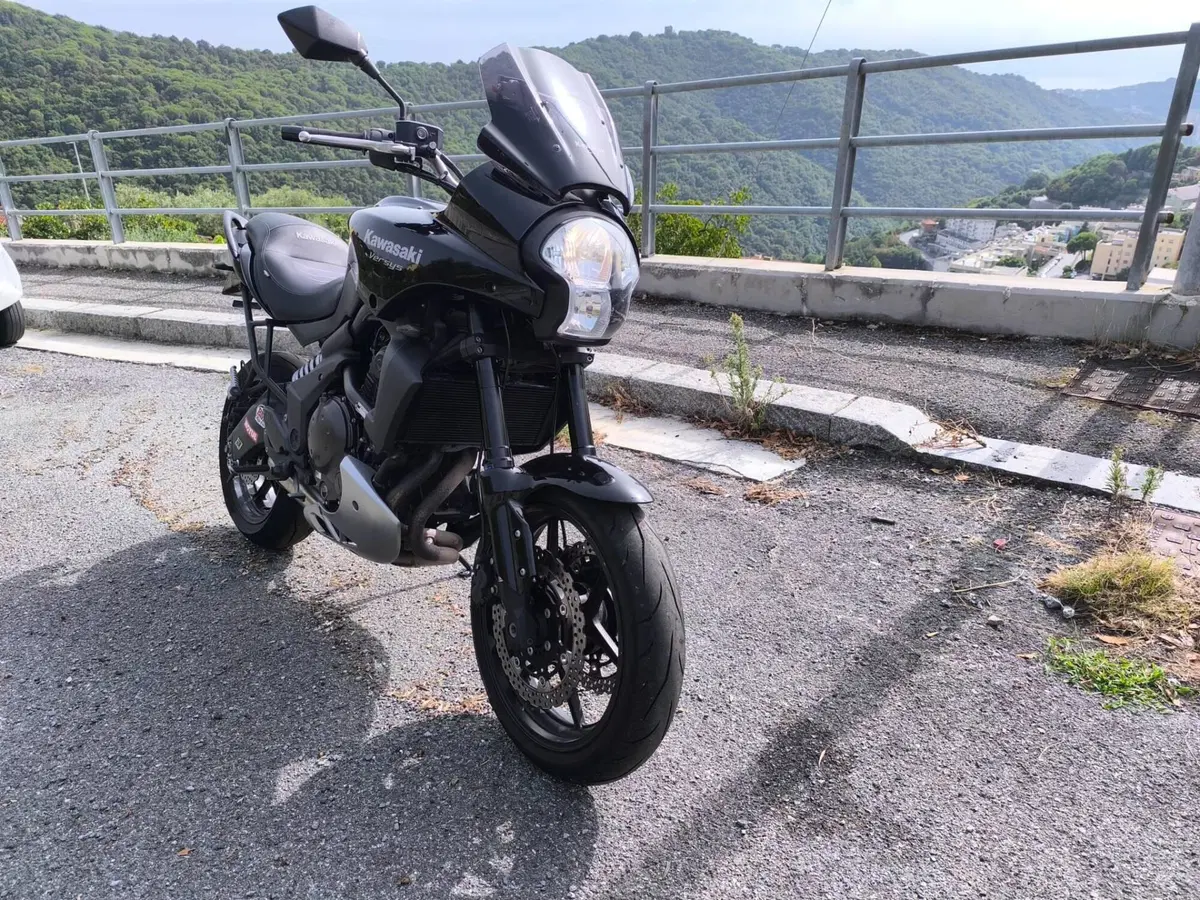 Kawasaki Versys 650 (2006 - 09) (3)