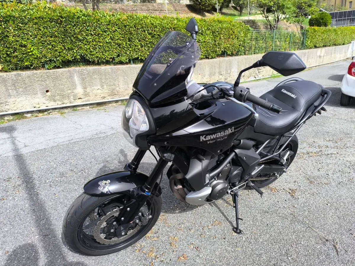 Kawasaki Versys 650 (2006 - 09) (4)