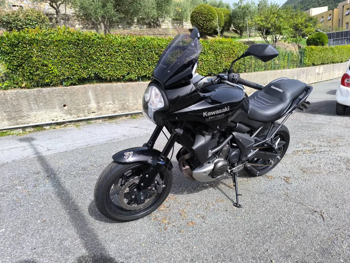Kawasaki Versys 650 (2006 - 09) (6)