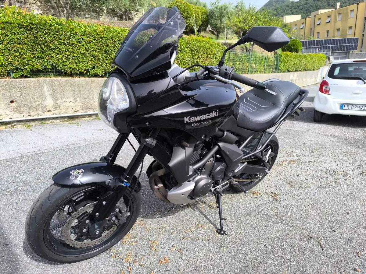 Kawasaki Versys 650 (2006 - 09) (8)