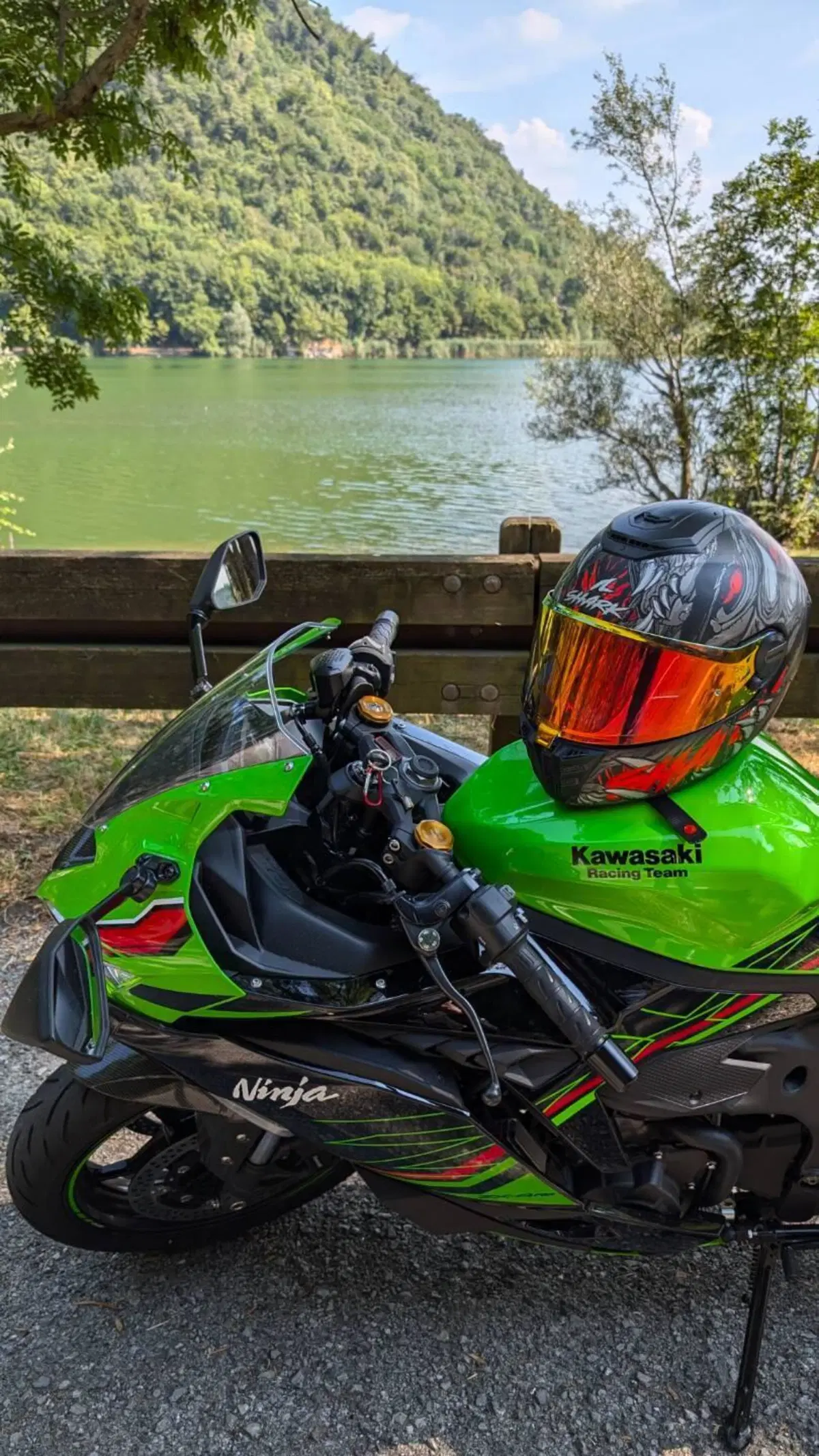 Kawasaki Ninja ZX-4RR (2024 - 26) (2)