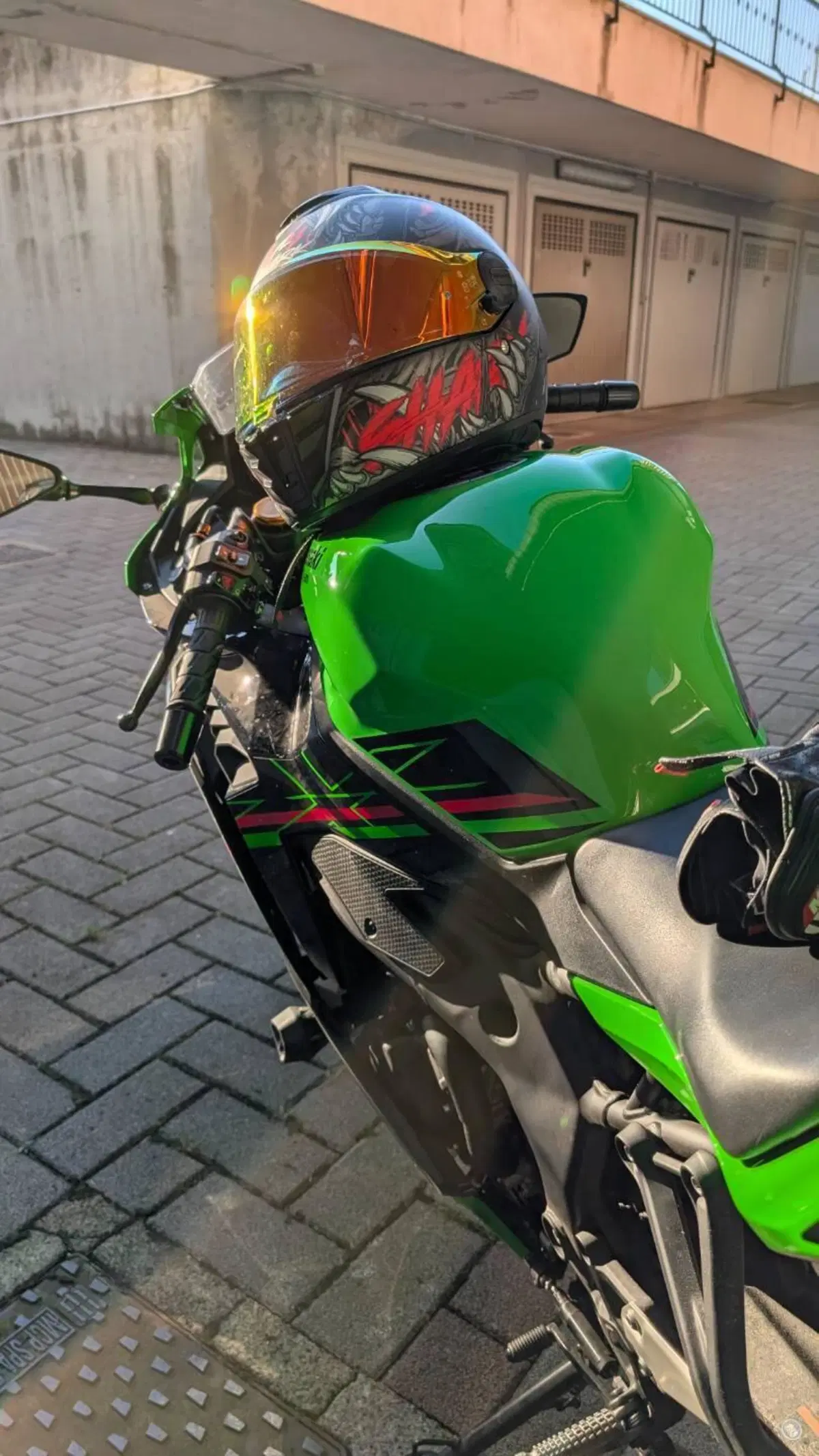 Kawasaki Ninja ZX-4RR (2024 - 26) (5)