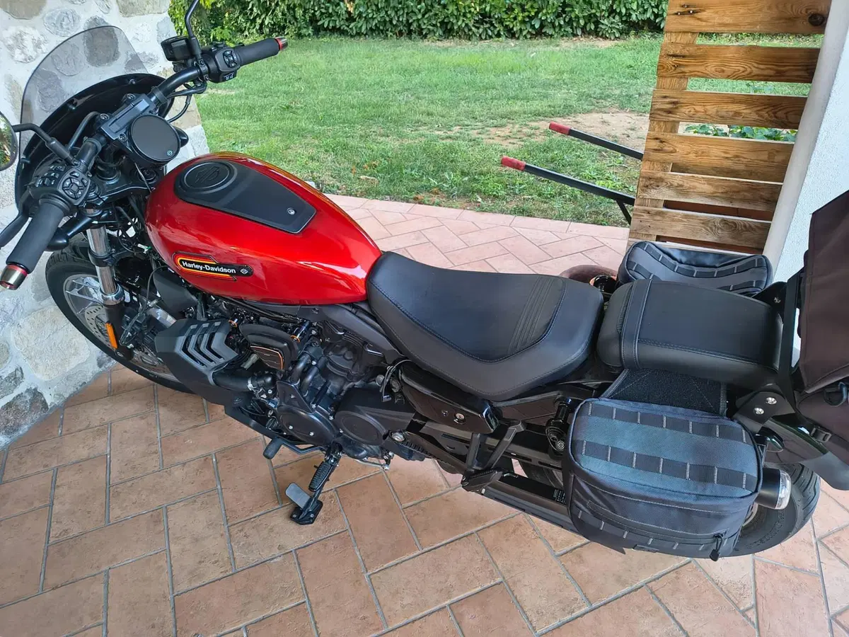 Harley-Davidson Nightster Special (2023 - 26) (5)
