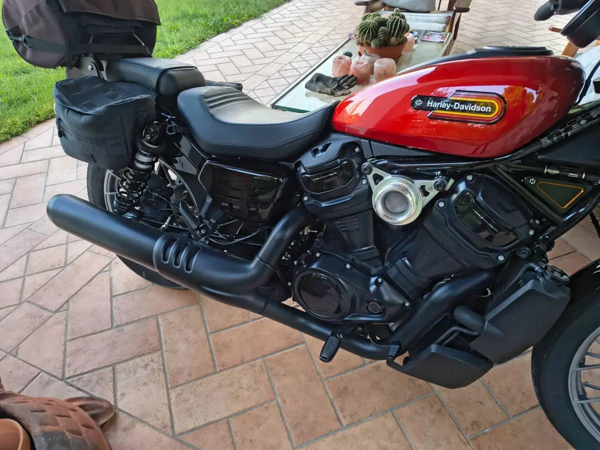 Harley-Davidson Nightster Special (2023 - 26) (6)