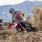 MXGP 2026 rd.17 QUALIFYING RACE – MXGP: Herlings sull’orlo… del Mondiale. MX2: Farres si tiene in gioco [VIDEO]