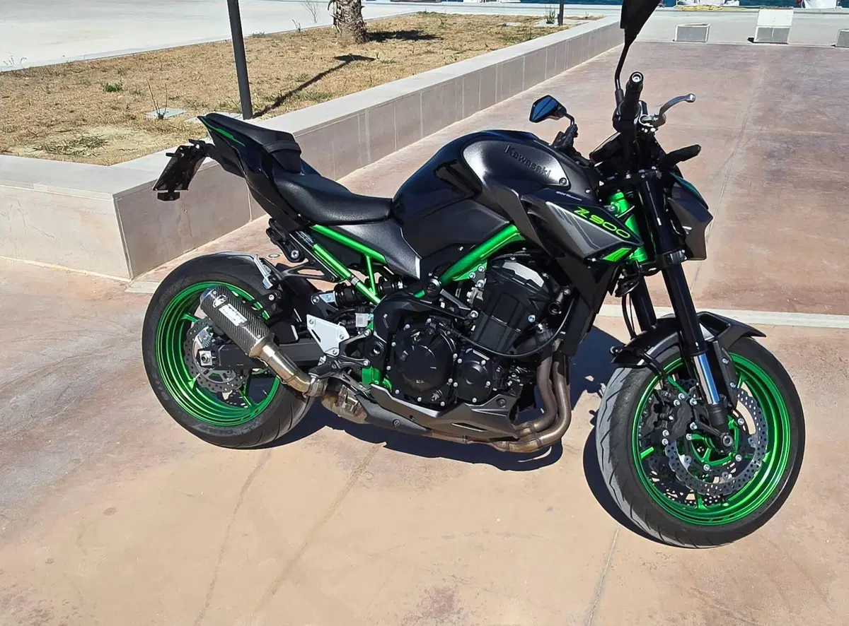 Kawasaki Z 900 (2021 - 24)