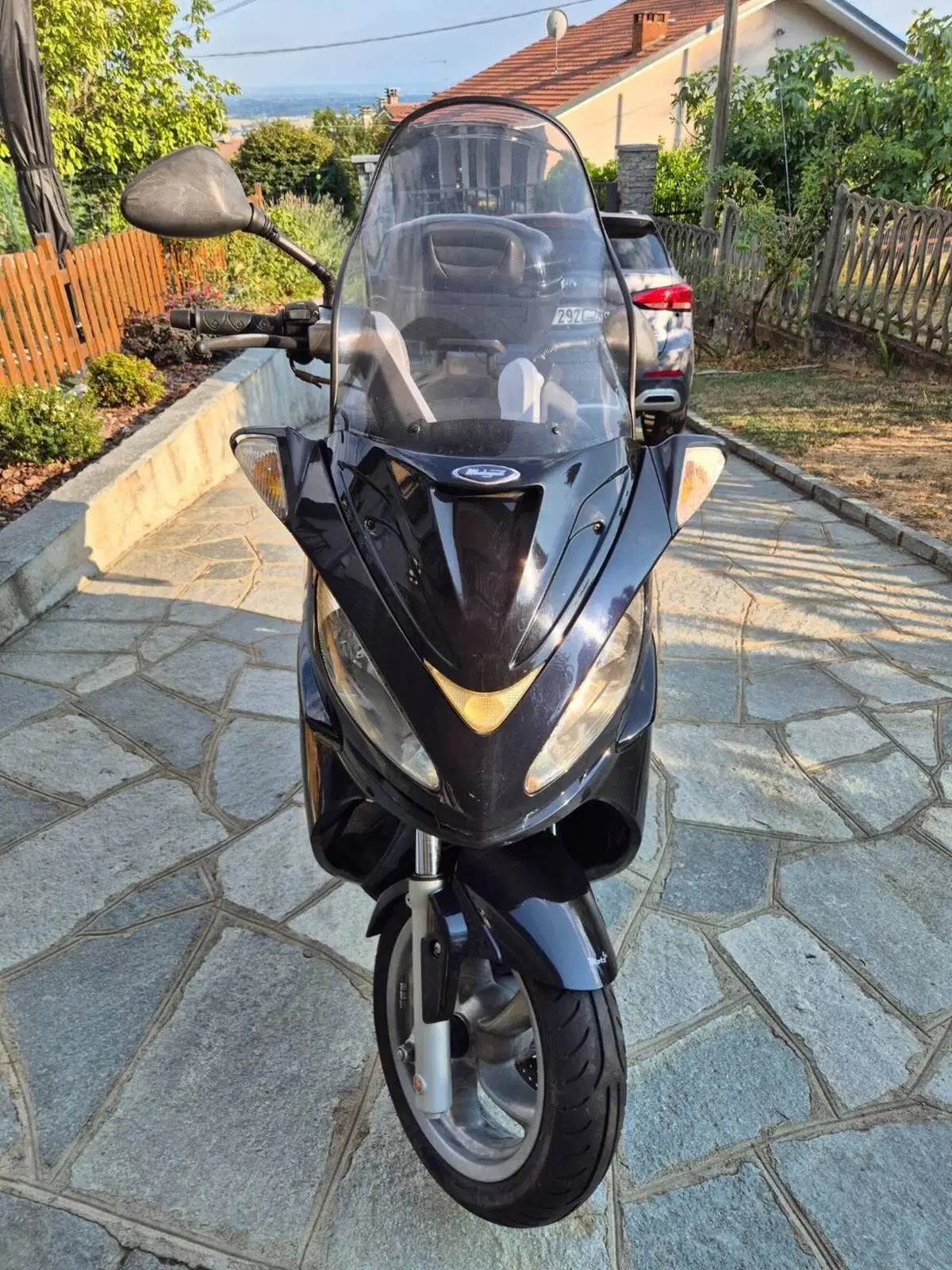 Malaguti Madison 250 RS (2005 - 06) (2)