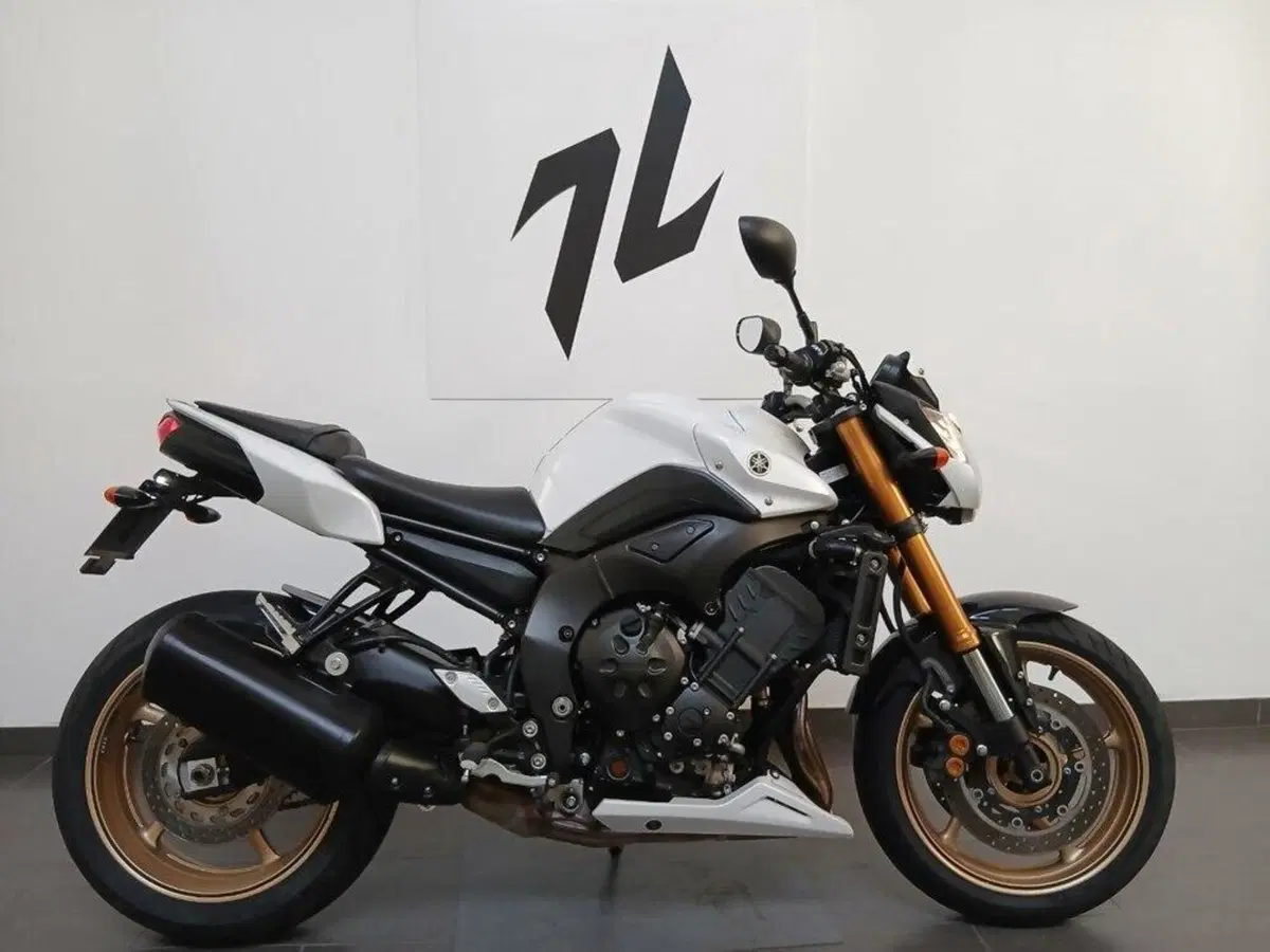 Yamaha FZ8 (2010 - 12) (2)