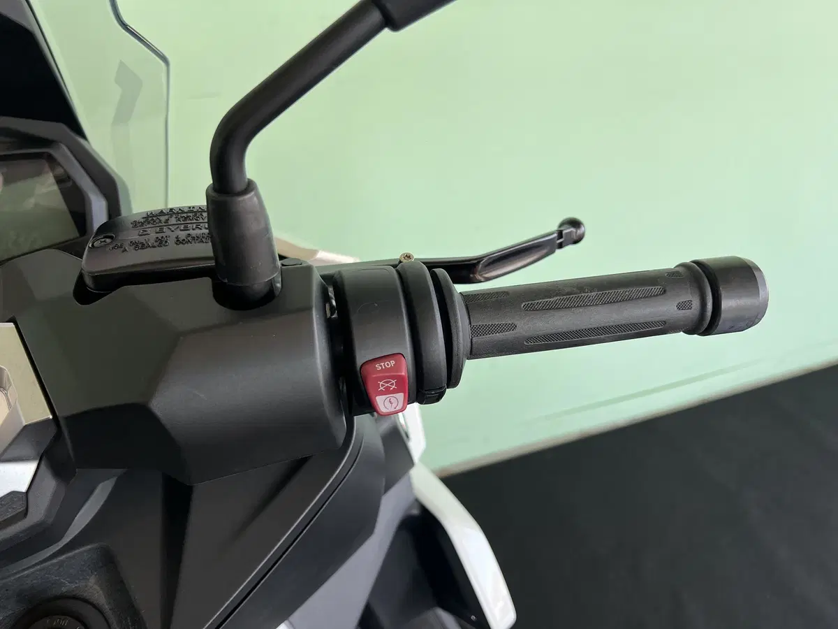 Bmw C 400 X (2018 - 20) (19)