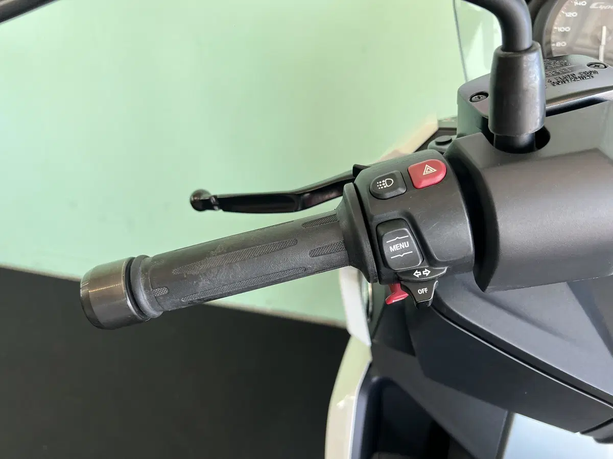Bmw C 400 X (2018 - 20) (20)