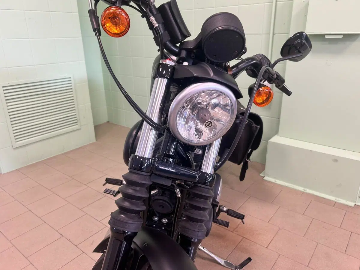 Harley-Davidson 883 Iron (2014 - 16) - XL 883N (12)