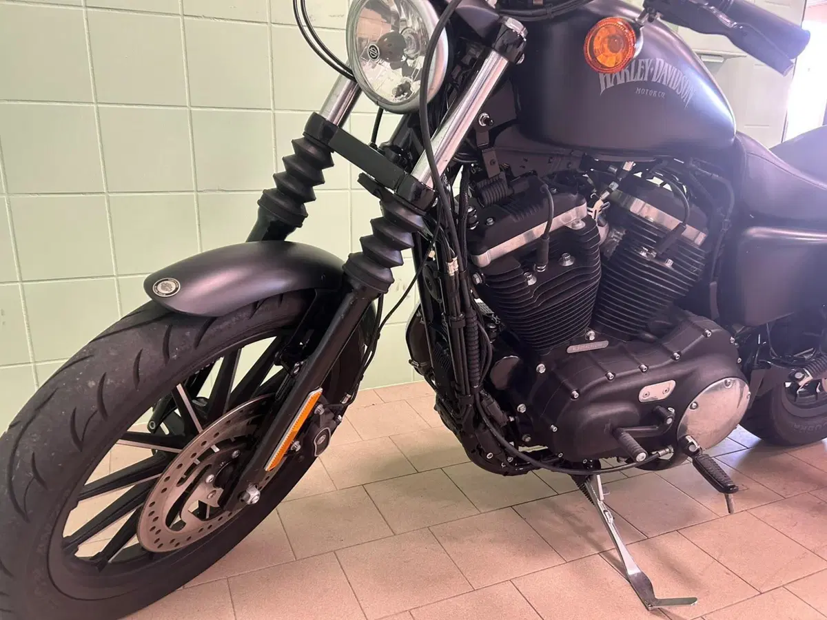 Harley-Davidson 883 Iron (2014 - 16) - XL 883N (14)