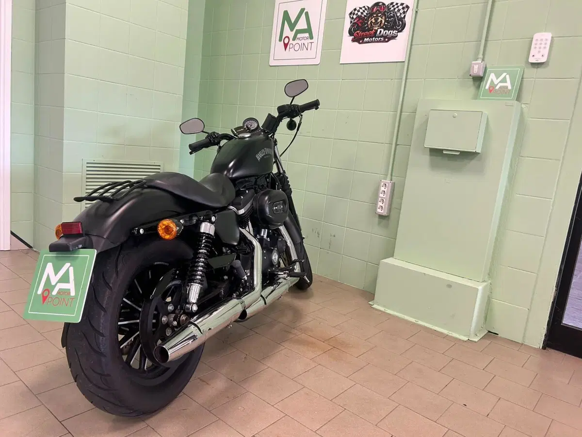 Harley-Davidson 883 Iron (2014 - 16) - XL 883N (18)