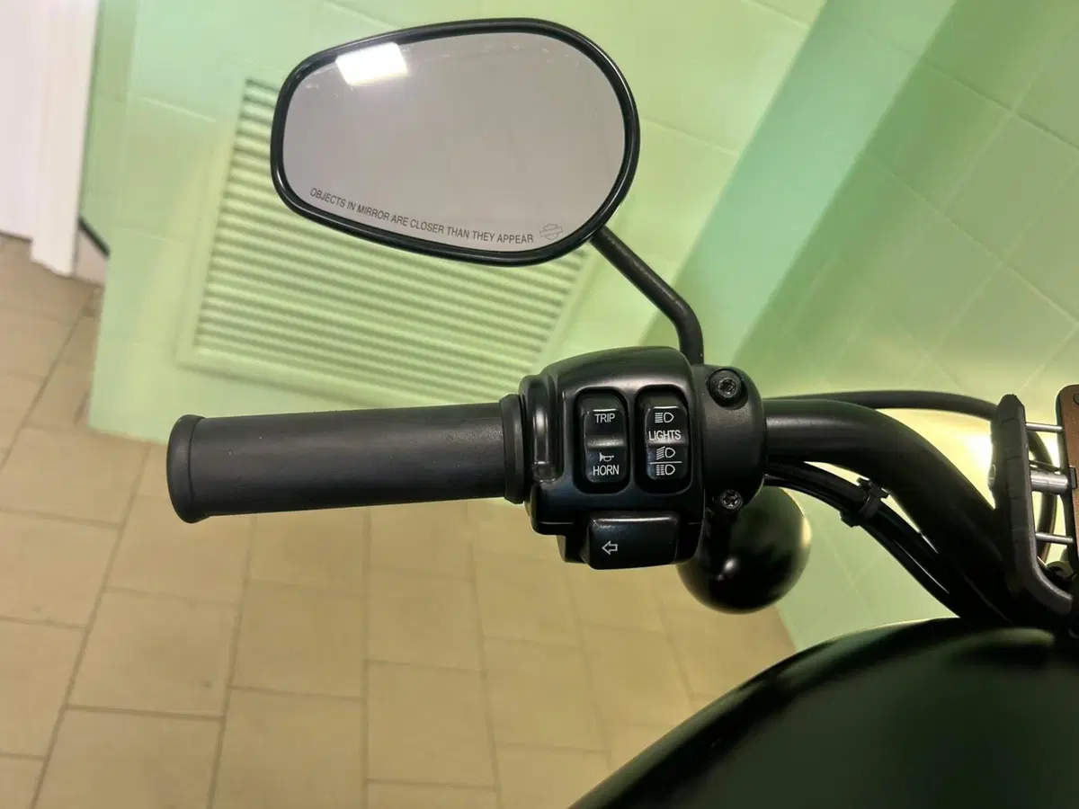 Harley-Davidson 883 Iron (2014 - 16) - XL 883N (19)