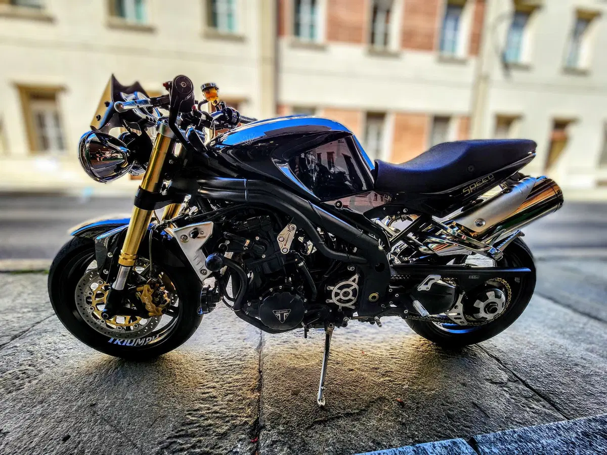 Triumph Speed Triple 1050 (2005 - 11) (3)
