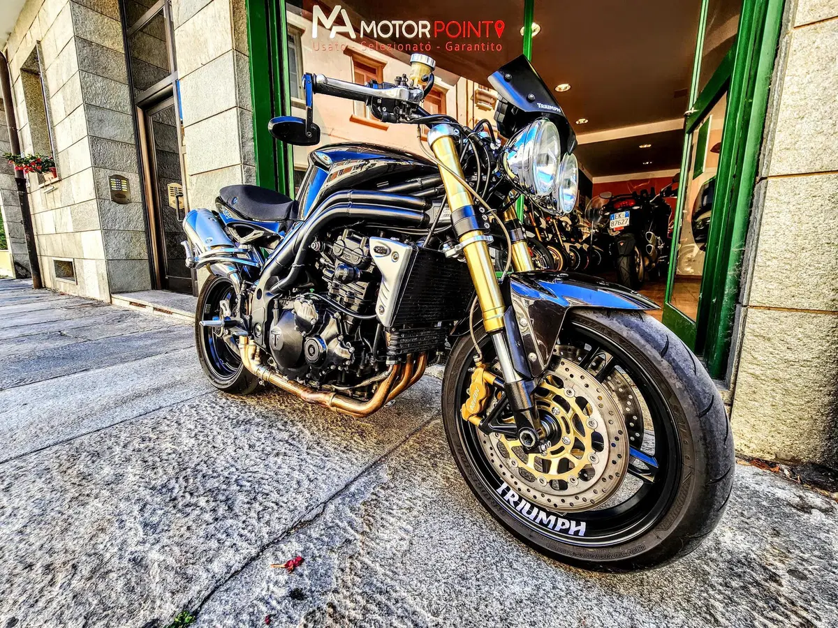 Triumph Speed Triple 1050 (2005 - 11) (7)