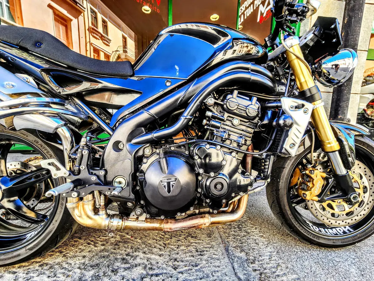 Triumph Speed Triple 1050 (2005 - 11) (13)