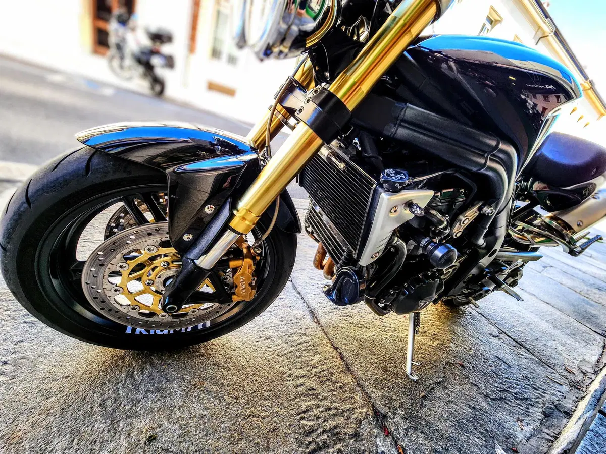 Triumph Speed Triple 1050 (2005 - 11) (14)