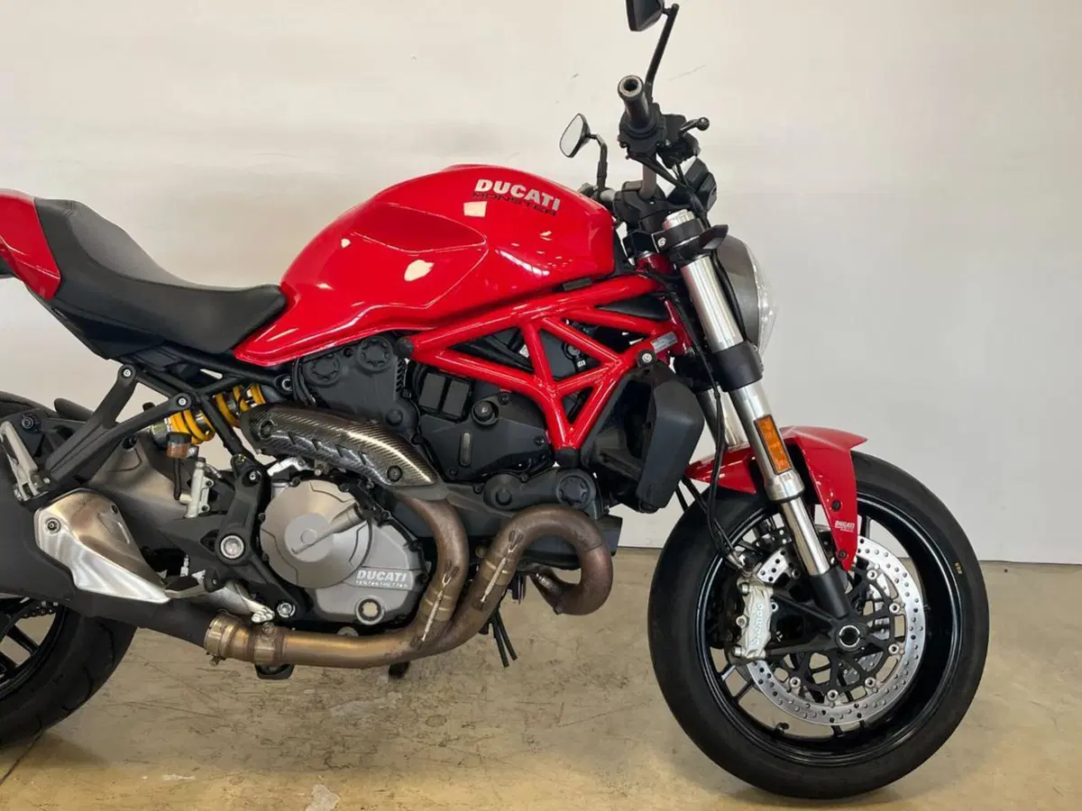 Ducati Monster 821 (2018 - 20) (5)